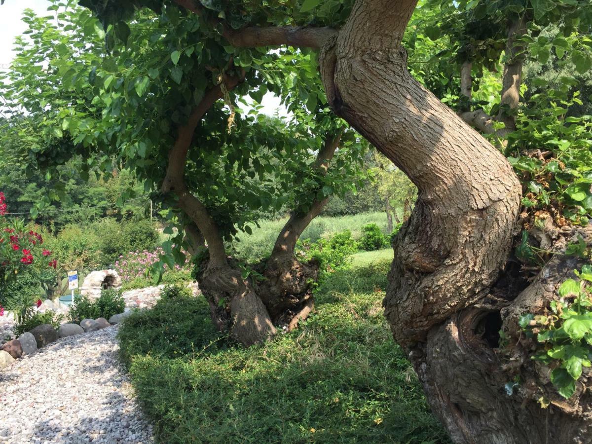 Casal Del Pigno Hotell Peschiera del Garda Exteriör bild